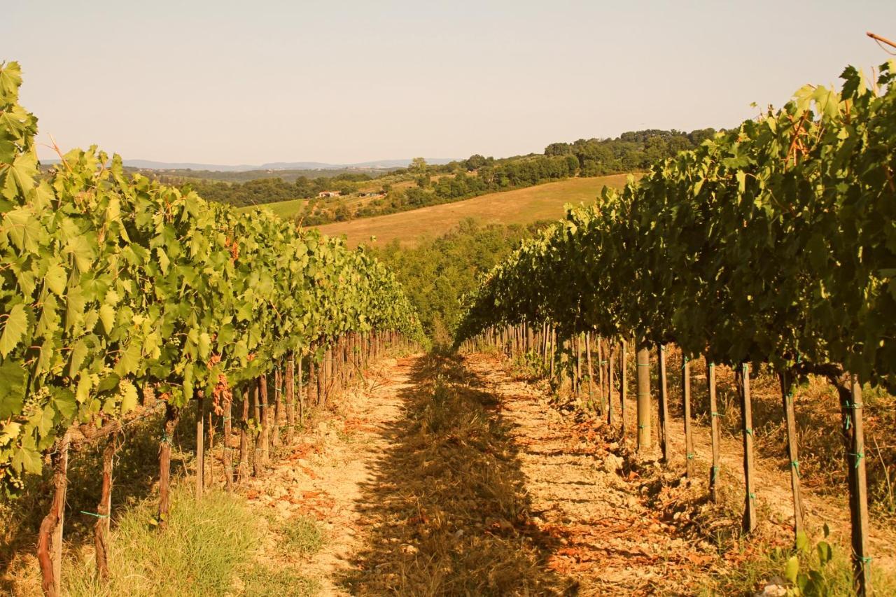 La Torre In Chianti Apartment Siena Ngoại thất bức ảnh